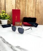 CARTIE_R 5406 SILVER BLACK