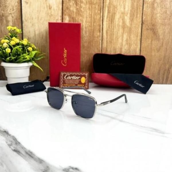 CARTIE_R 5406 SILVER BLACK