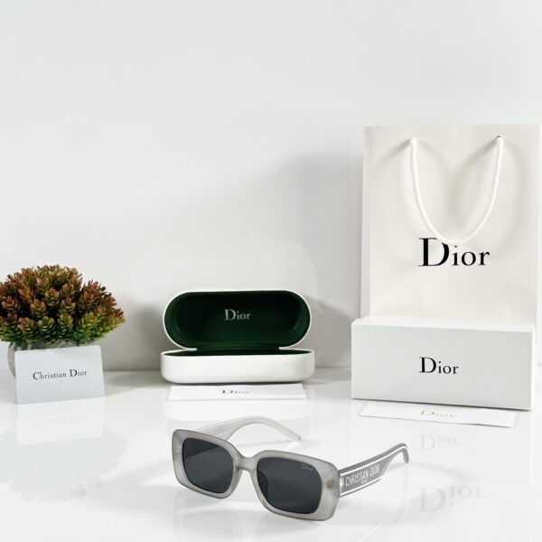 Dior_WMNS_S2U_Grey_Black