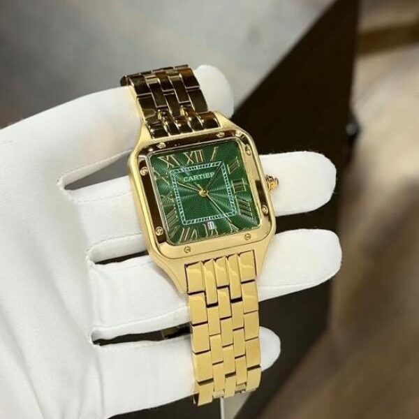 Cartier Panther Store Article