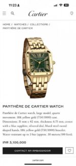 Cartier Panther Store Article - Image 2